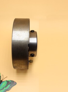 带圆环形座外球面球轴承UCC205 UCC206 UCC207 UCC208切粒机轴承