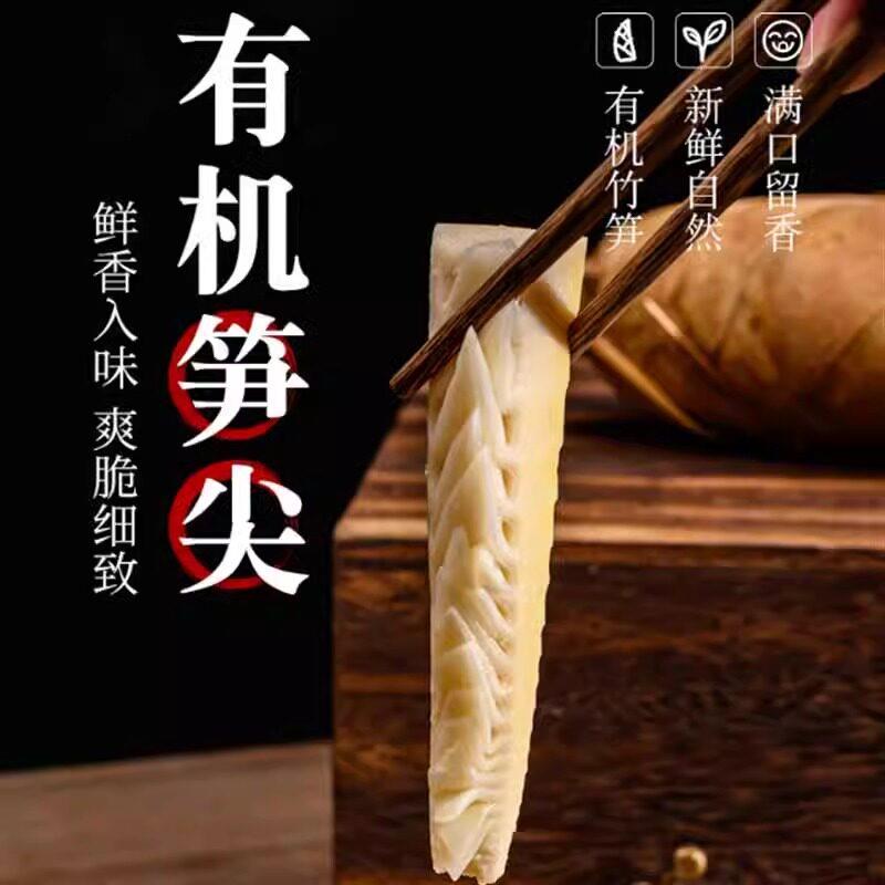 极野有机认证白玉嫩笋尖脆爽春笋笋尖武夷山深山竹笋笋尖230g/袋