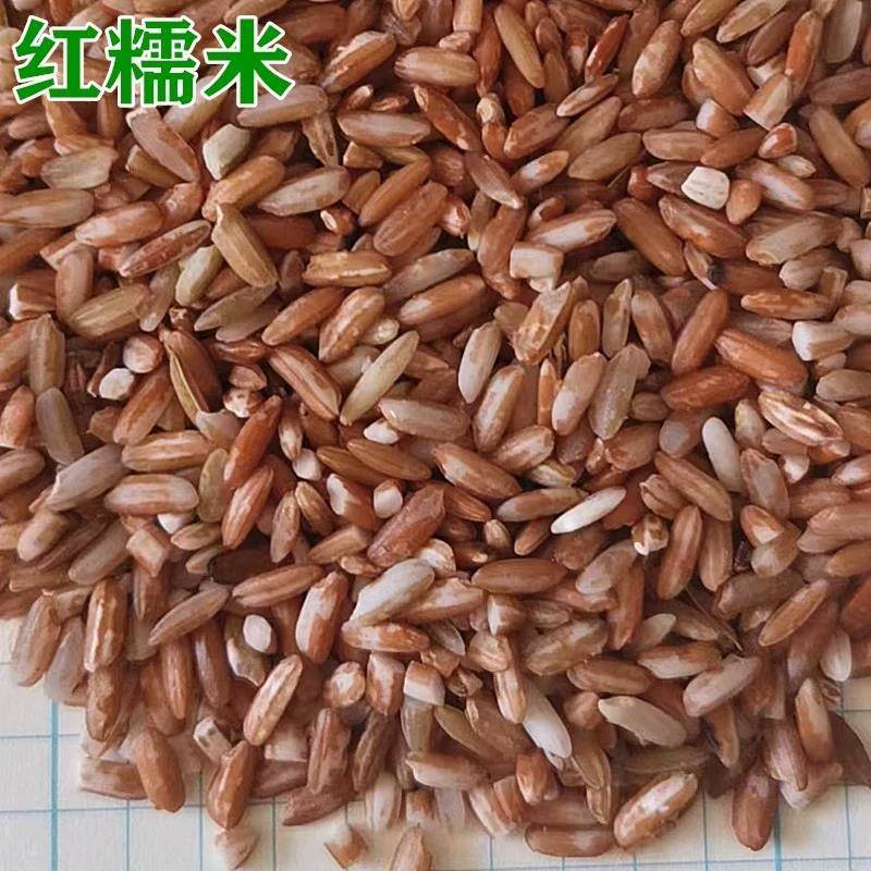云南元阳梯田红米 哈尼族自种活水大米红糯米2斤