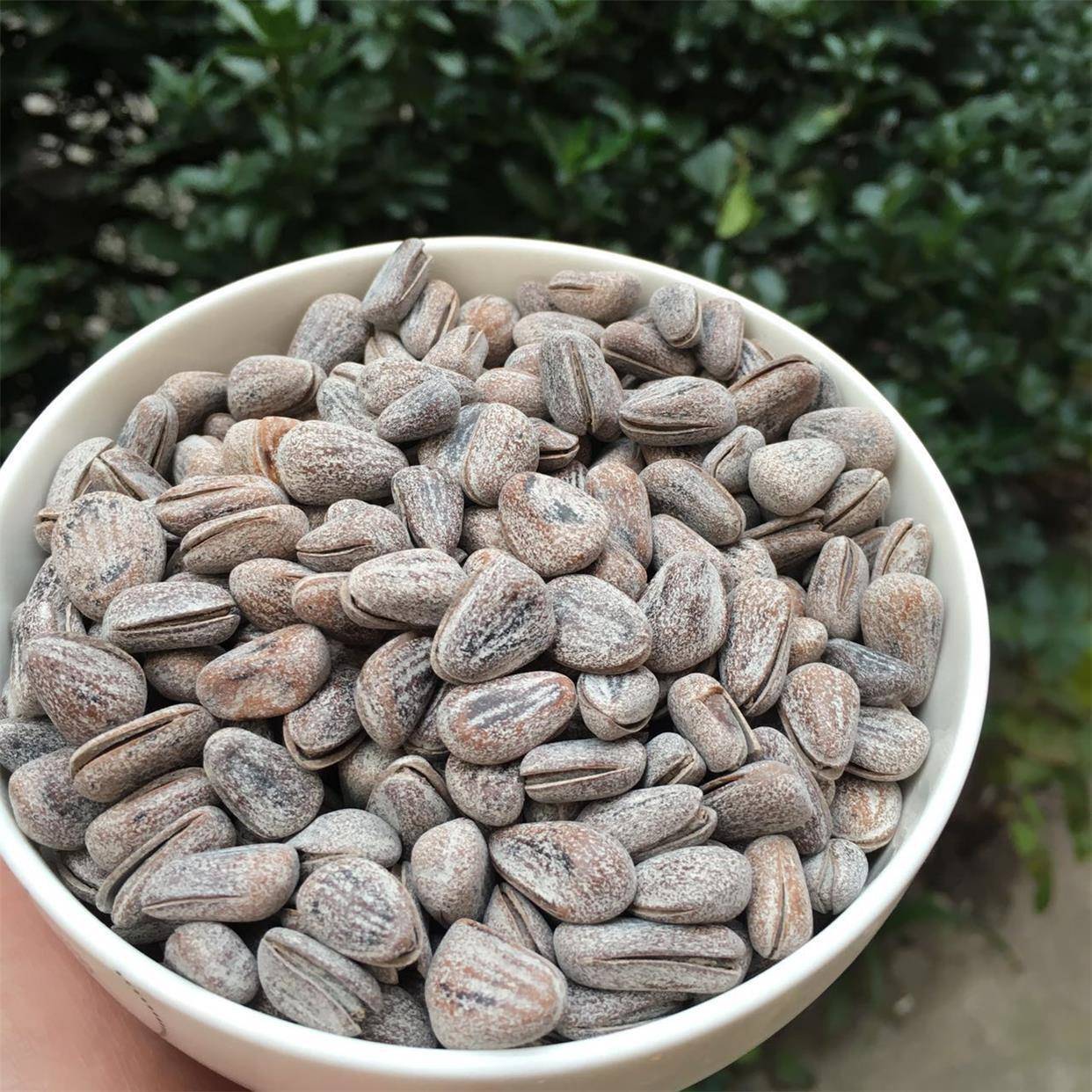 椒盐松子开口500g特大颗粒椒盐口味新鲜散装1斤5新货袋装炒货东北