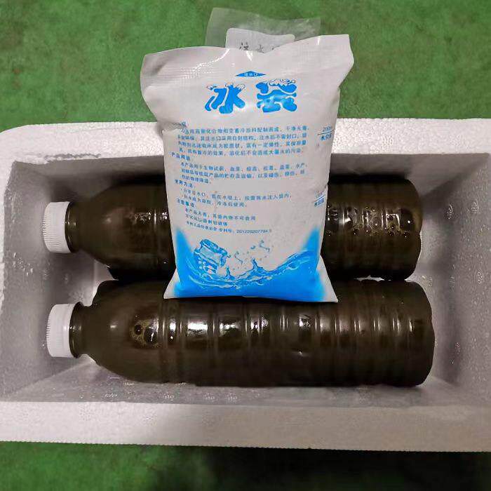 宜兴特产野生新鲜乌树叶汁乌饭草溧阳南烛叶乌饭叶汁乌米水3斤装
