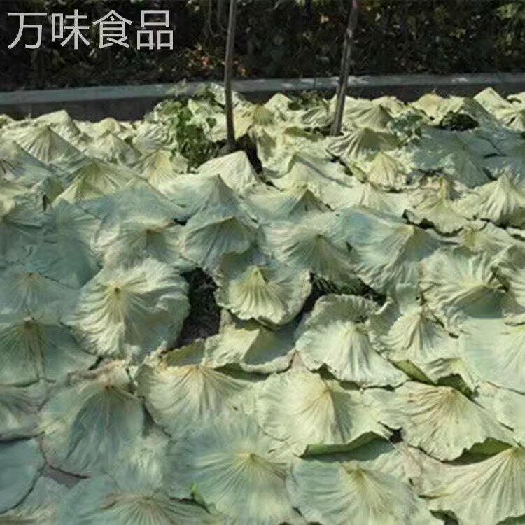 整张荷叶大张江西整张天然干荷叶包饭叫花鸡糯米鸡价菏叶茶