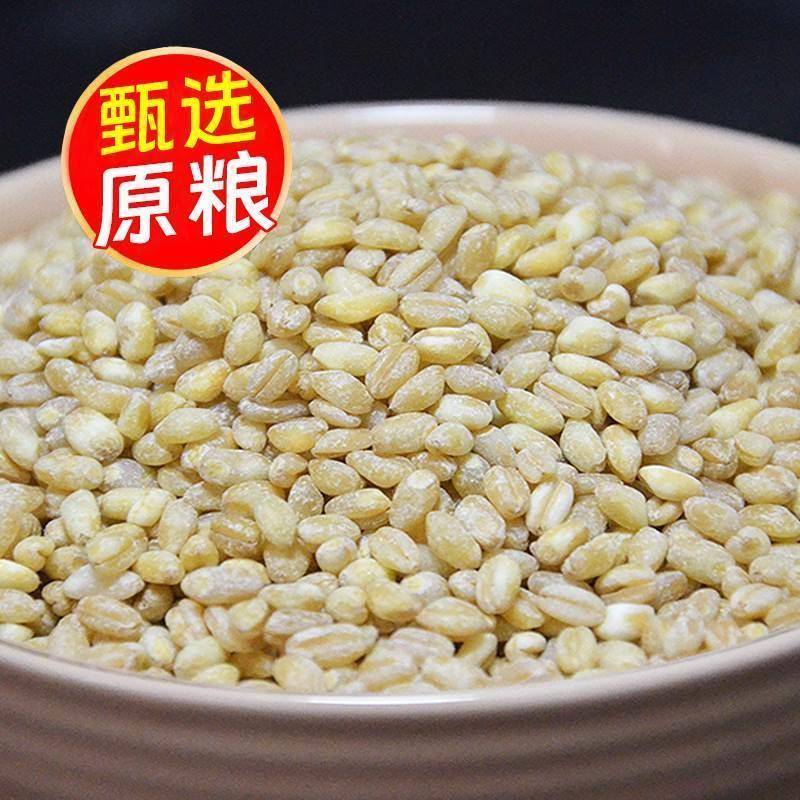 河南小麦仁去皮优质新麦仁米脱壳带胚芽煮粥饭用麦仁酵子自产新鲜