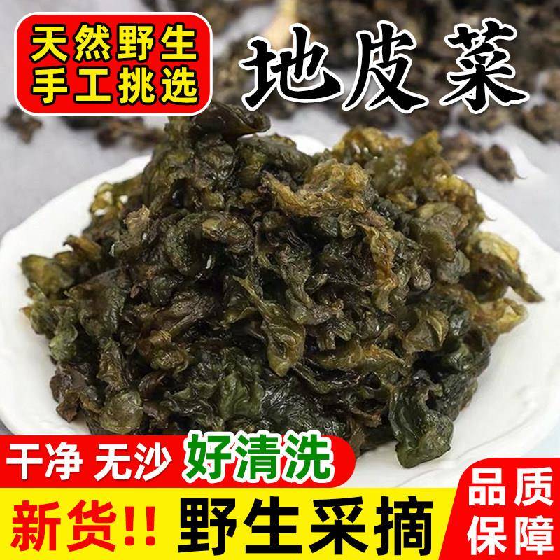 地皮菜新鲜干货甘肃特产野生地软地木耳非免洗地衣菜炒野菜蒸包子