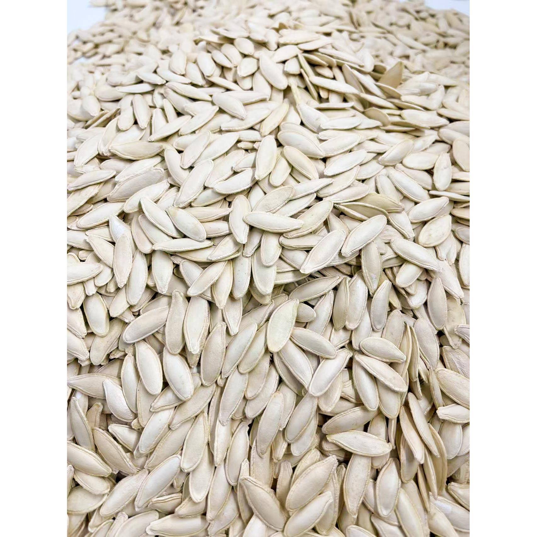 美人甲南瓜子新货内蒙大颗粒新鲜带壳原味大白长片长粒南瓜籽发批