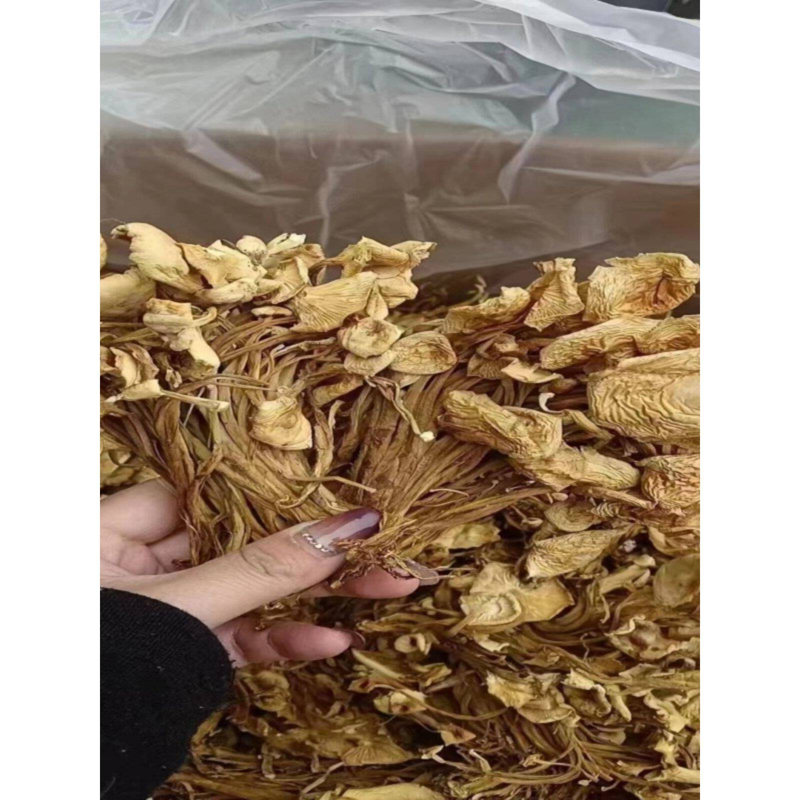 500g新货古田茶树菇茶树菇干货鲜嫩农家茶薪菇农家无硫熏超值干货