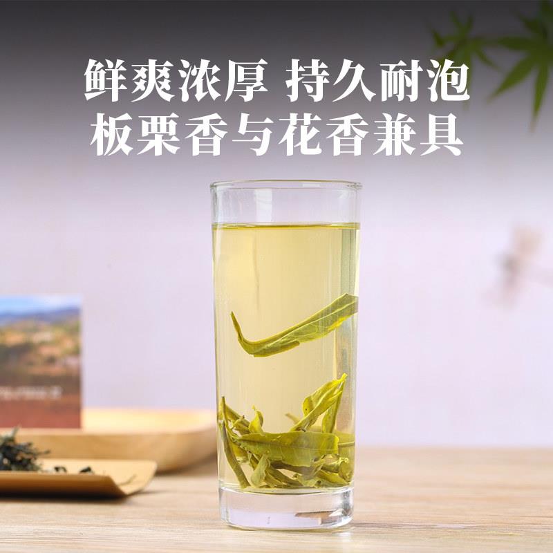 凤宁号云南绿茶滇绿茶叶有机古树绿茶头春头采高山茶鲜爽半斤装