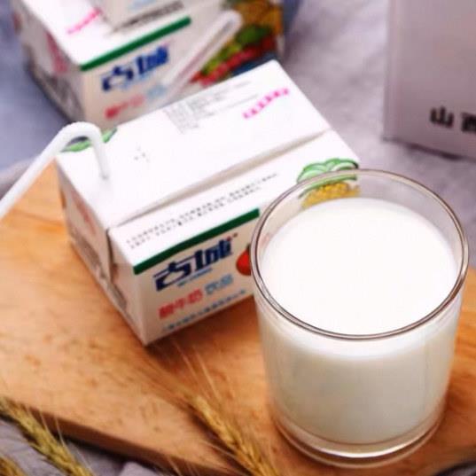 山西特产古城酸奶酸牛奶整箱250ml*20盒装乳酸菌发酵乳制含乳饮品