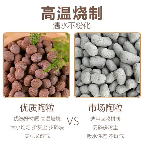 陶粒垫底养花多肉土园艺花盆花卉回填鱼缸水培铺面透气轻质
