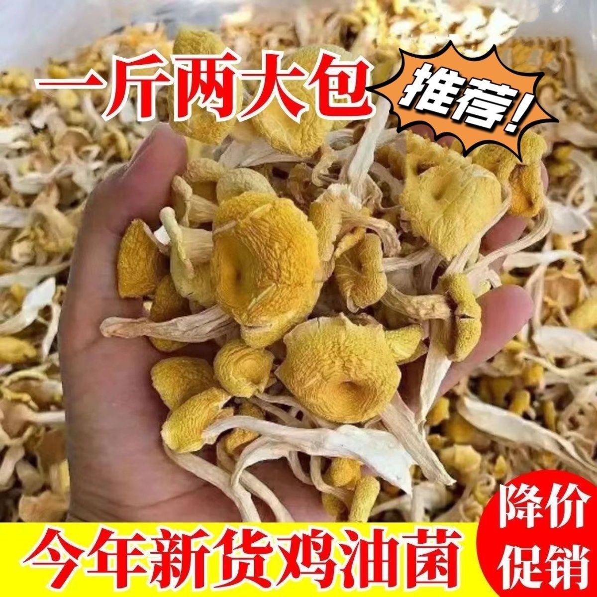 鸡油菌干货500g云南土特产菌菇包山珍蘑菇旗舰店煲汤材料黄丝菌,粮油调味/速食/干货/烘焙,香菇类,淘宝优惠券,粉丝福利购,淘宝优惠卷