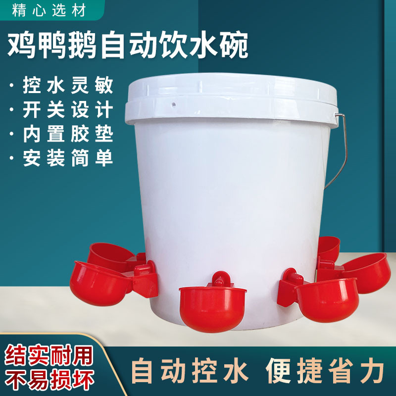 鸡用自动饮水碗养鸡用网红碗家庭散养鸡用喂水碗鸡用自动饮水器