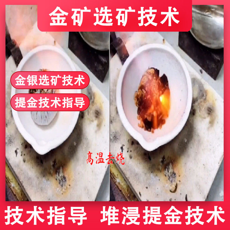 专业提金技术指导全面培训 打造专属学习路径 攻克提金技术难题