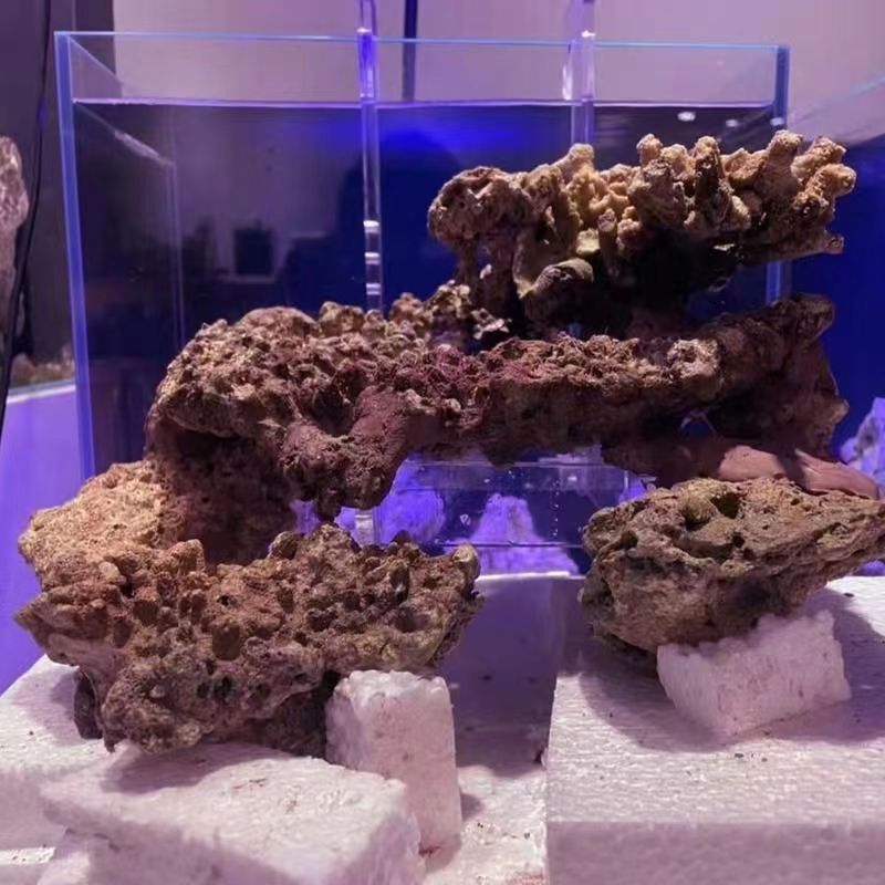鱼缸客厅活石摆件配件悬浮亚克力挂钩挂架隐形支架海缸造景珊瑚观