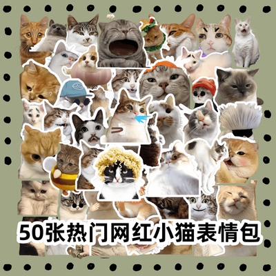 50张可爱热门网红小猫表情包贴纸