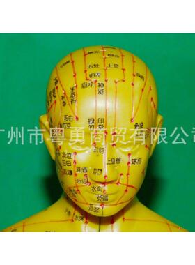 医学保健男女全新刻字工艺人体58cm针灸穴位人体经络模型铜人