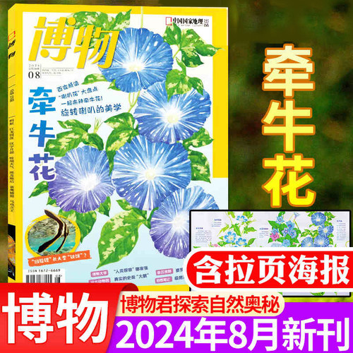 博物2024年8月【牵牛花专题】