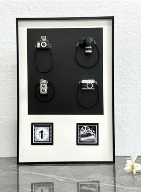 摄影主题装饰画/相机模型画/立体画样板间展厅软装道具艺术摆件