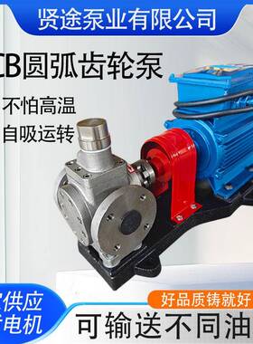 现货供应304不锈钢齿轮泵YCB1/0.6圆弧压力泵电动增压燃油泵
