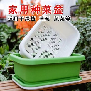 阳台种菜盆加厚长方形塑料盆家庭蔬菜种植盆种菜神器大号耐用花盆
