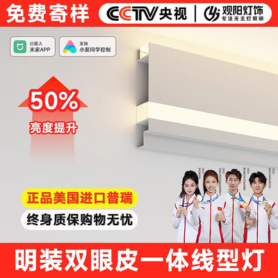 灯带线形灯LED双眼皮一体线型