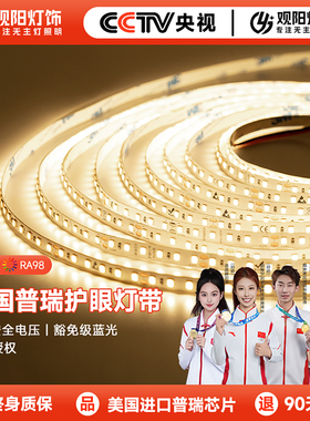 观阳普瑞led灯带低压灯条24v客厅吊顶氛围线条灯线性灯欧司朗灯珠