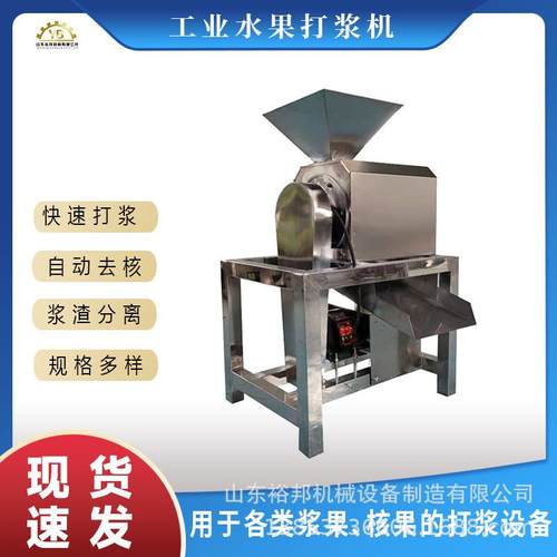 不锈钢浆果渣浆分离机 刮板式去皮去核蓝莓桃子芒果工业打浆机