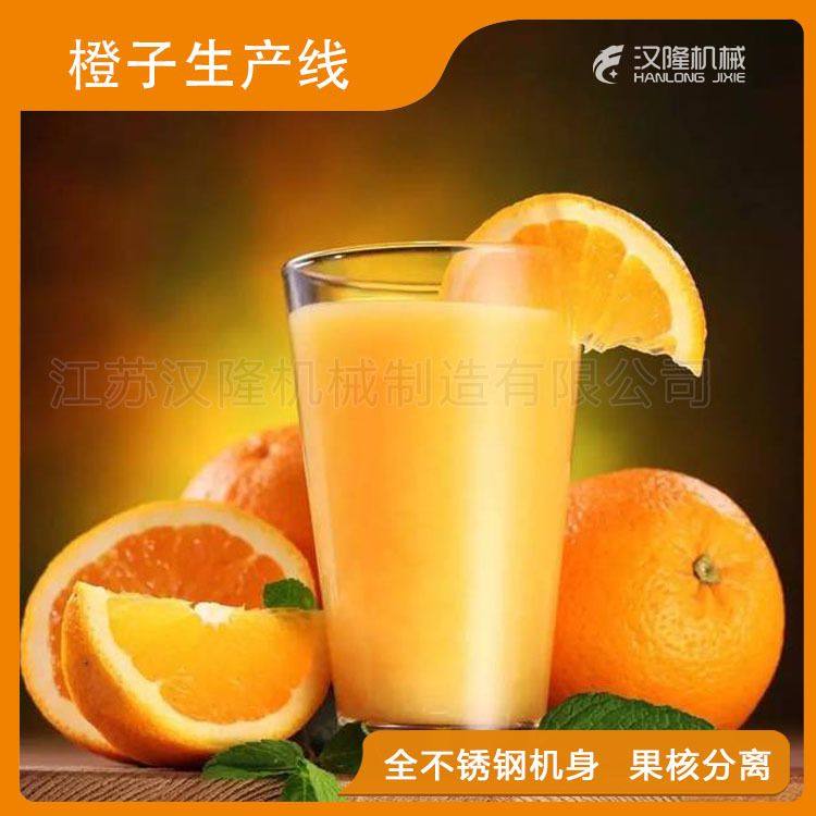 果蔬机械厂家直销橙子汁饮料线橙子果汁饮料设备厂家橙子生产线