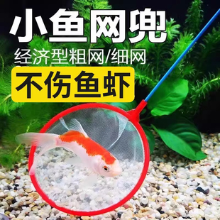 鱼缸捞鱼网兜家用儿童小孩小鱼捞捕鱼网大小号丰年虾网超密孔加长