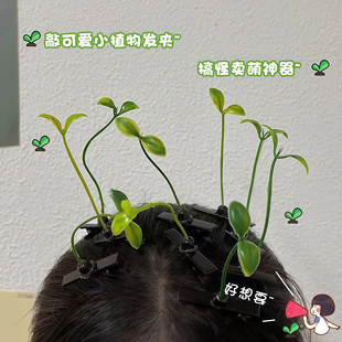 小草发夹网红可爱头上长草头顶趣味搞怪卖萌发卡豆芽创意夹子头饰