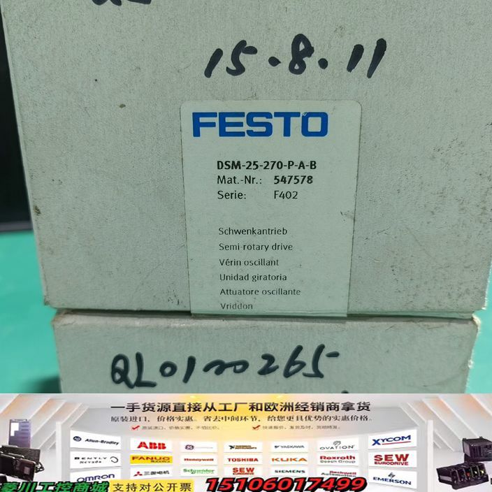 DSM-25-270-P-A-B 547578 德国FEST议价