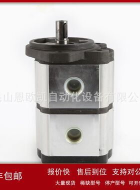 意大利OT双联泵OT200P08+08D/G31S2议价