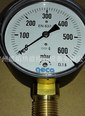 【实物】600mbar压力表集卡geca