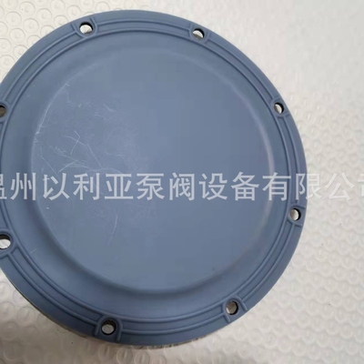 Prominent普罗名特计量泵膜片811471 811472  811459  811458