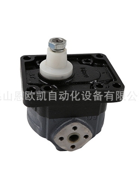 供应Casappa齿轮泵KP30.31D0-A8K9-LMD/MB-H-HSC-VNR01