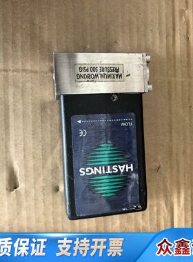 Hasting MFM 流量计 HFM-200 S/N