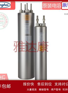 E12.G48-408000 MKP-B-电容 80μF/300V 50x148 LT/SK