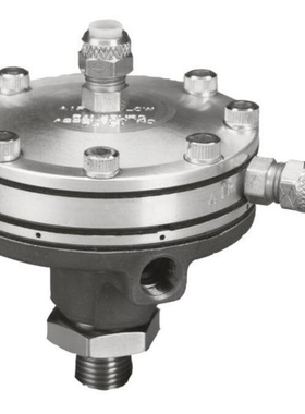 原装进口sudmo：DN65-2003821