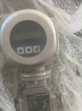 EH卫生型电磁计50H22-1F0A1AB0ABAA，