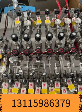 众桦SEFAR气体流量控制系统，型号FC-D985c，带压力议价