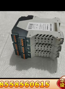 weiland ricos 隔离栅，4AI2AO U/I，实