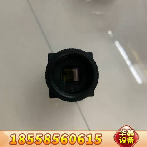 灰点 BFLY-PGE-20E4C-CS 彩色CCD工业相机