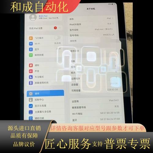 mini6-256g5G插卡版