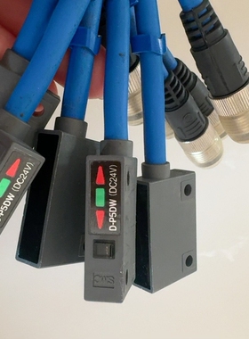 议价全新原装SMC磁性开关D-P5DW- DC24V电压，蓝色线