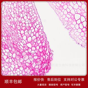 Schiff试剂 希夫试剂品红醛 Schiff Reagent G1286议价