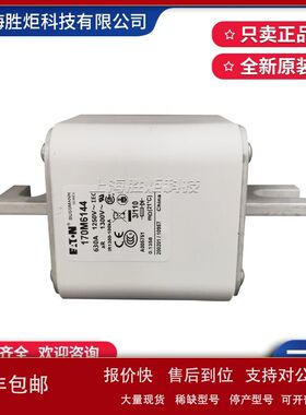 BUSSMANN熔断器 170M6142 6143 6144 6145 6146 6147 6148 6149议