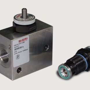 BIERI 334749-15 3678021 4054819 瑞士进口bieri阀门