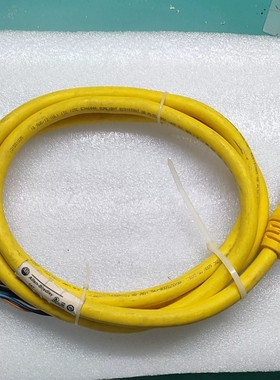 议价AB工业级连接线，型号889N-F12AF-2，黄色线身，带