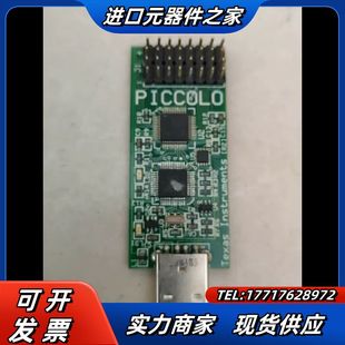 PICCOLO TEXAS INSTRUMENTS USB议价