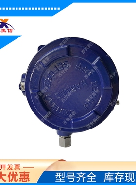 BADN/0-10Mpa压力开关 德国wika代理 DPDT触点 BADS