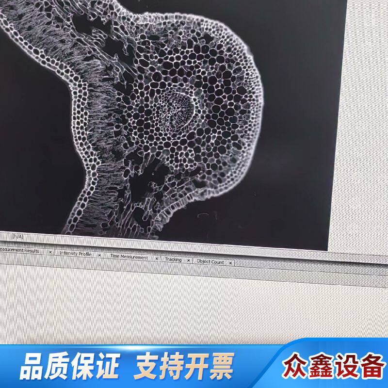 Qimaging高端荧光相机，USB3.0接口，成像效果